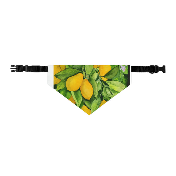 Lemons Pet Bandana Collar