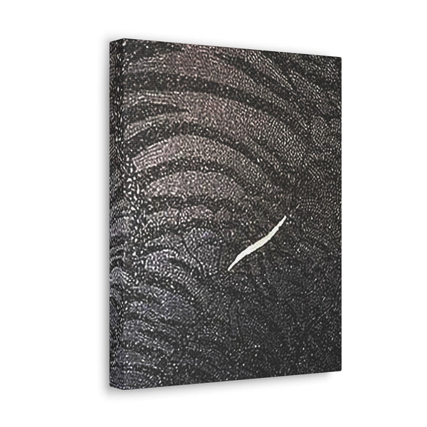 Dragon Study   Canvas Gallery Wraps