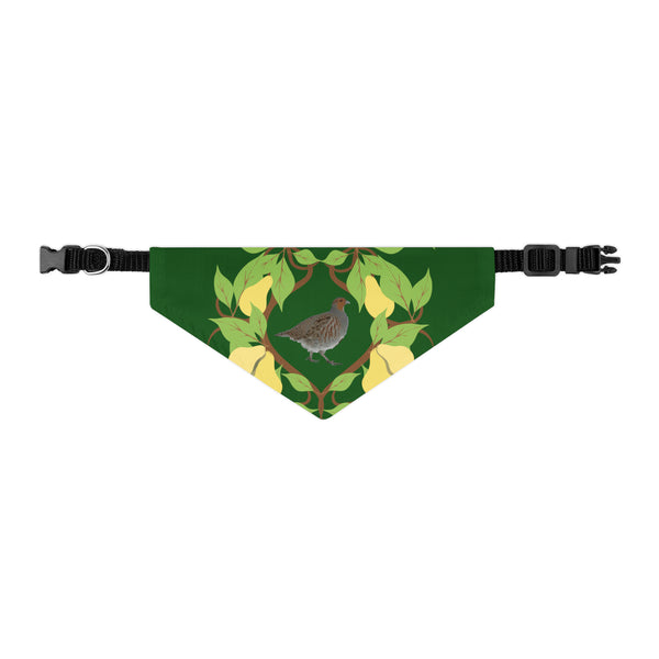 Partridge in a Pear Tree Pet Bandana Collar