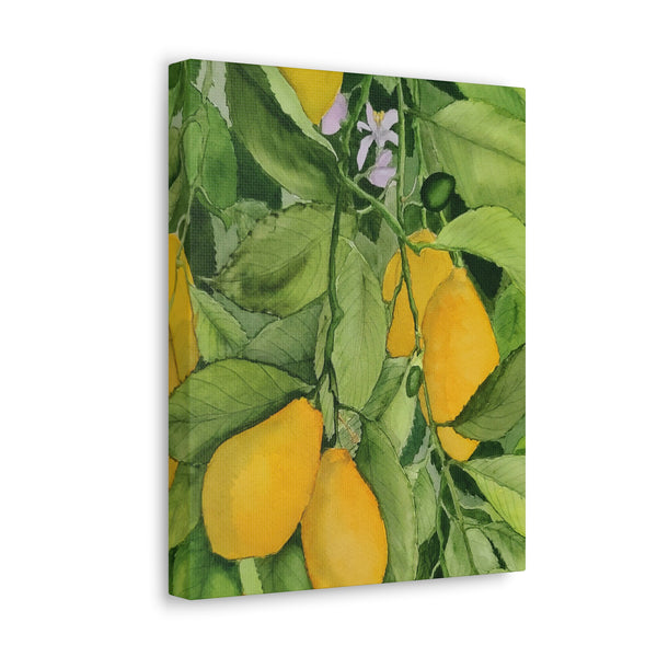 Watercolor Lemons Canvas Gallery Wraps