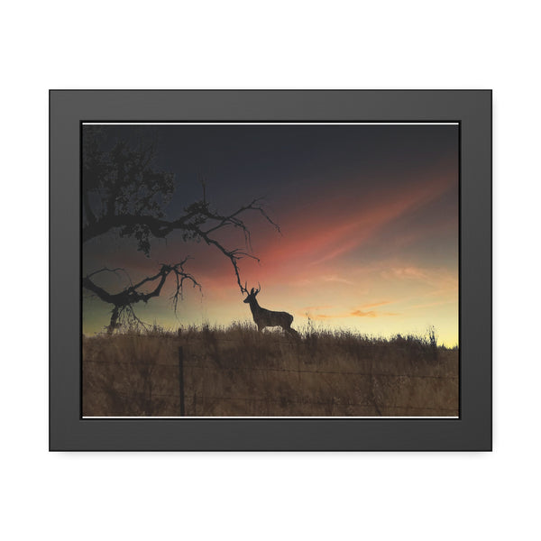 Deer at Sunrise Framed Paper Posters