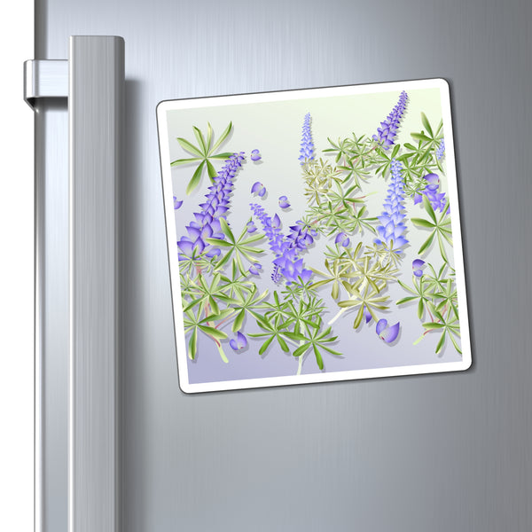 Lupins Magnet