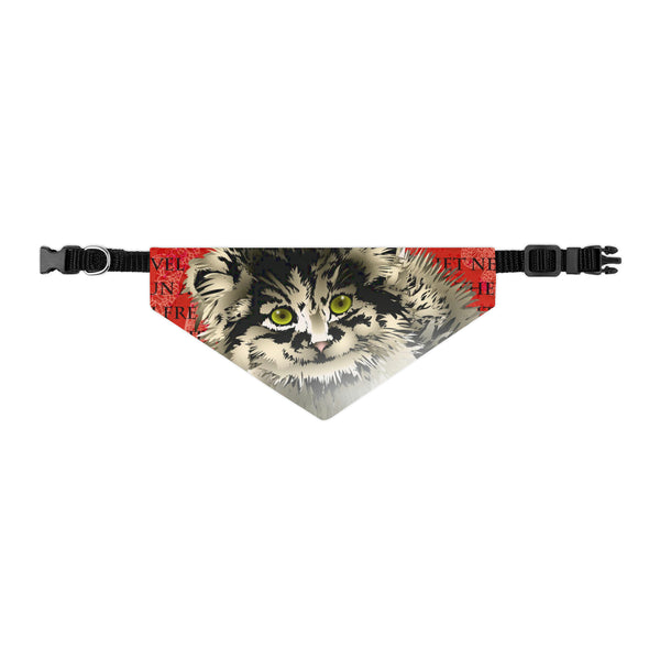 Pallas Cat Pet Bandana Collar