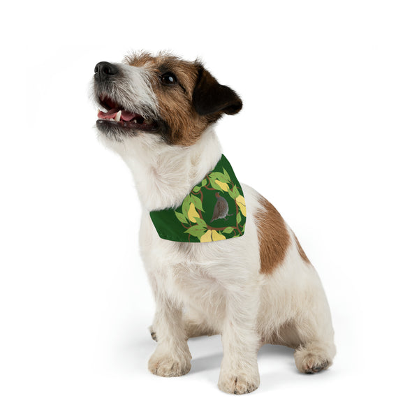 Partridge in a Pear Tree Pet Bandana Collar