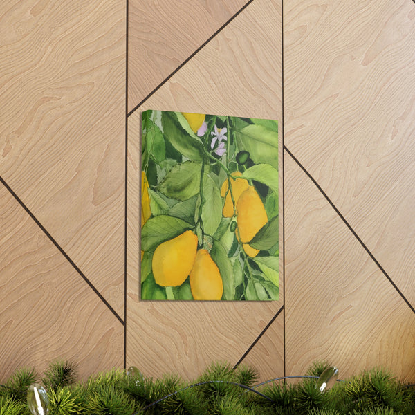 Watercolor Lemons Canvas Gallery Wraps