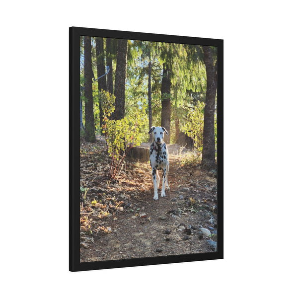 In-the-Woods Framed Paper Posters