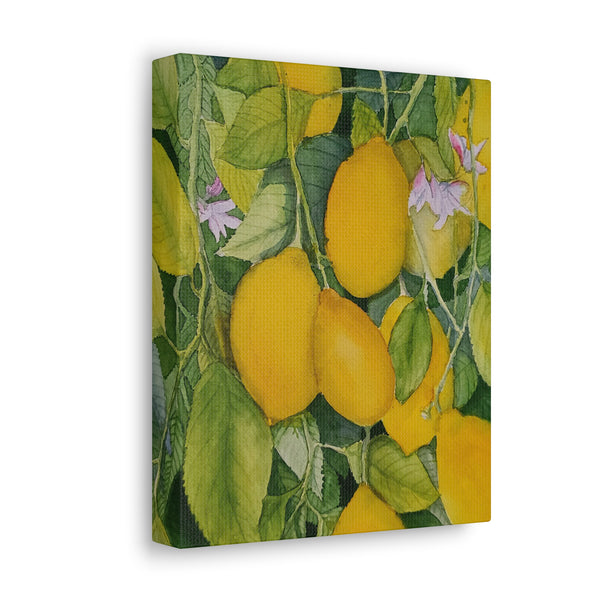 Watercolor Lemons 2 Canvas Gallery Wraps