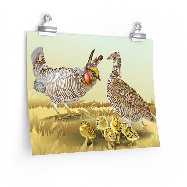 Prairie Chickens Premium Matte horizontal posters