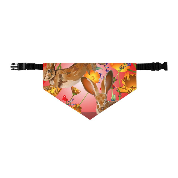 Jackrabbit Love Pet Bandana Collar