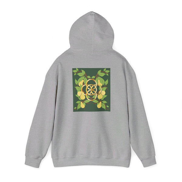 Five Golden Rings of Christmas  Unisex Heavy Blend™ Hooded Sweatshirt