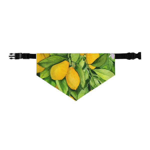 Lemons Pet Bandana Collar