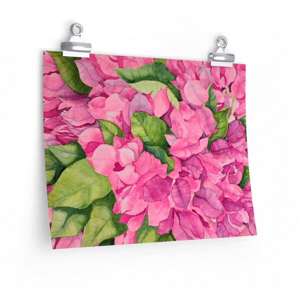 Bougainvillea Premium Matte horizontal posters