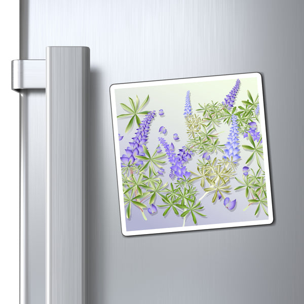 Lupins Magnet
