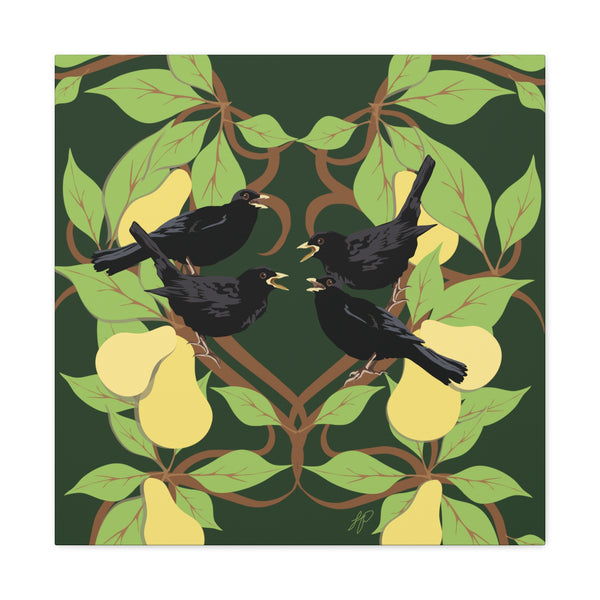 Four Colly Birds of Christmas  Canvas Gallery Wraps