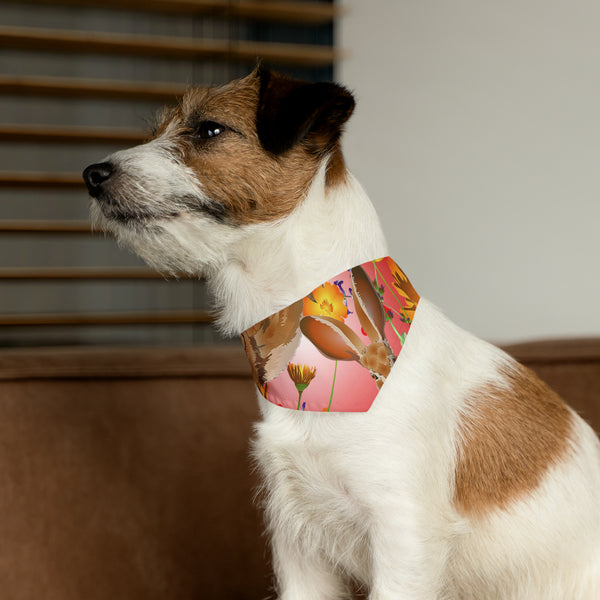 Jackrabbit Love Pet Bandana Collar