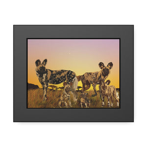 African Painted Dog Family Framed Paper Posters