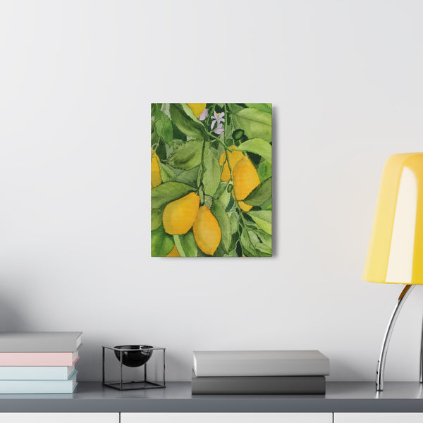 Watercolor Lemons 2 Canvas Gallery Wraps