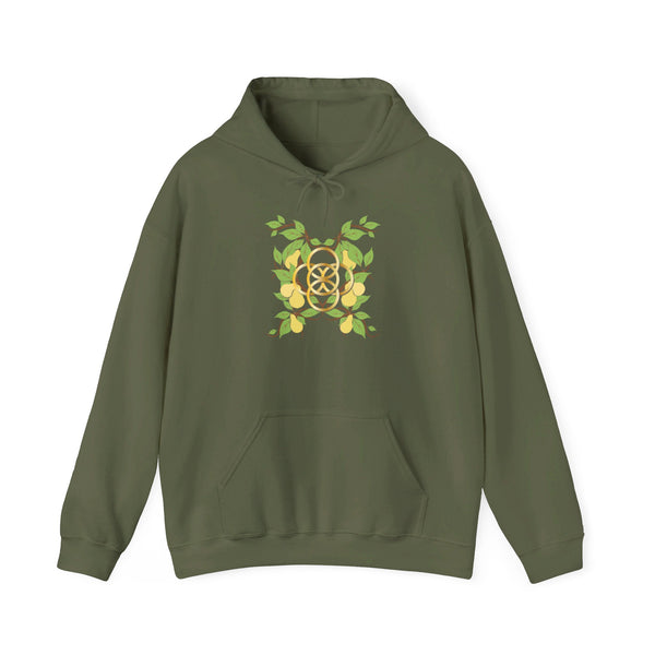 Five Golden Rings of Christmas  Unisex Heavy Blend™ Hooded Sweatshirt