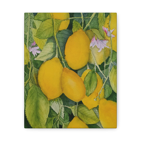 Watercolor Lemons 2 Canvas Gallery Wraps