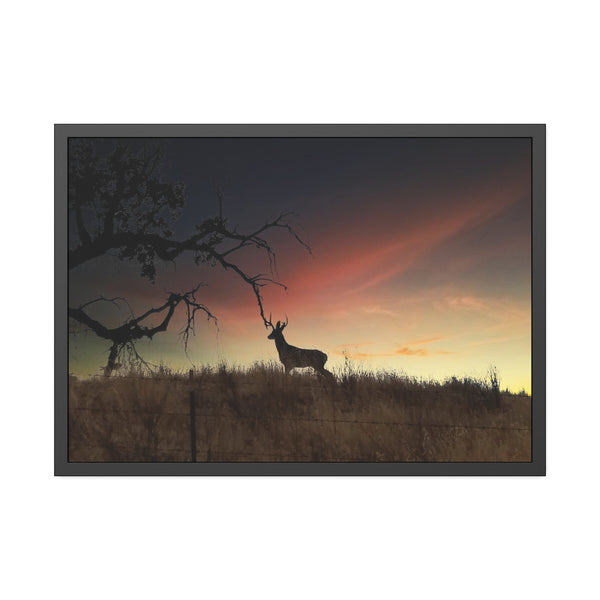 Deer at Sunrise Framed Paper Posters