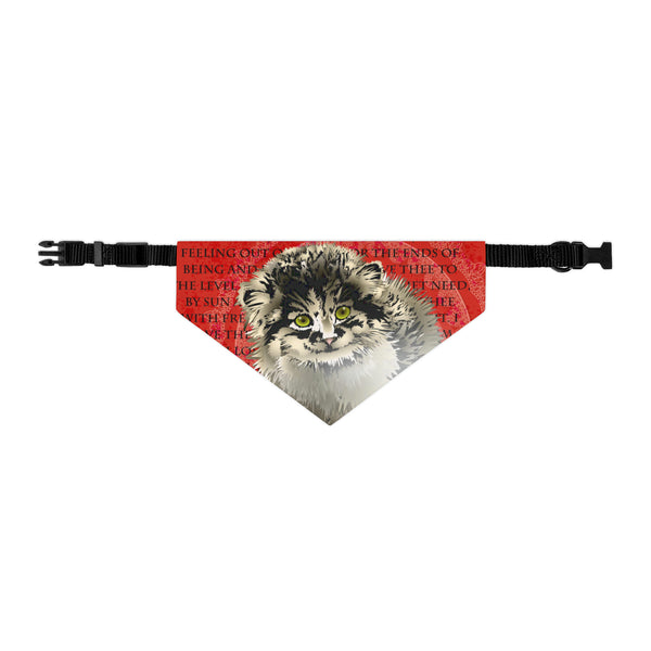 Pallas Cat Pet Bandana Collar