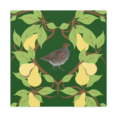 Partridge in a Pear Tree  Canvas Gallery Wraps