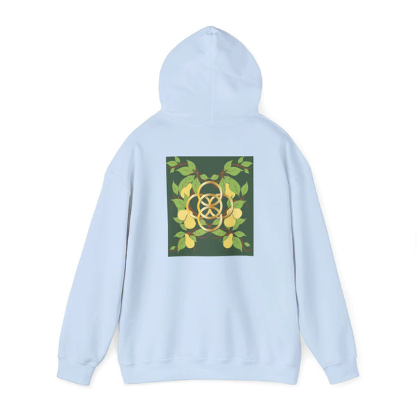 Five Golden Rings of Christmas  Unisex Heavy Blend™ Hooded Sweatshirt