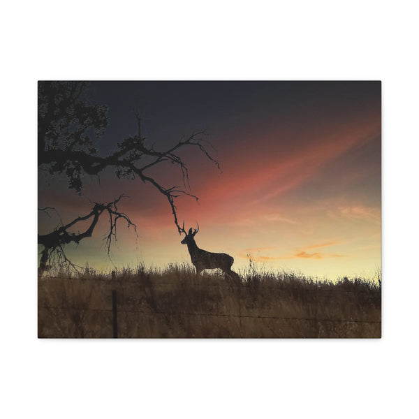 Deer at Sunrise Gallery Wraps