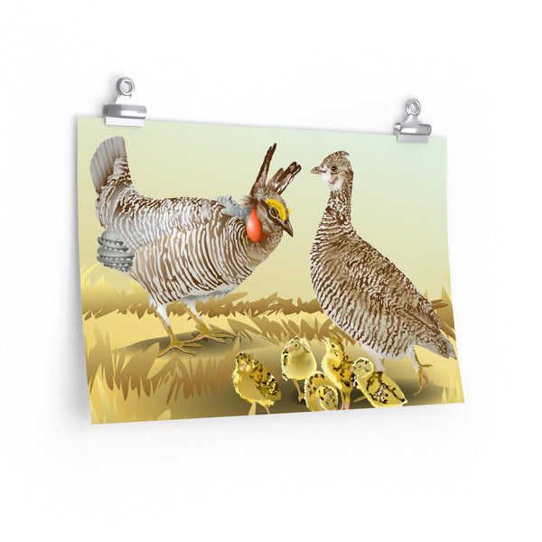 Prairie Chickens Premium Matte horizontal posters
