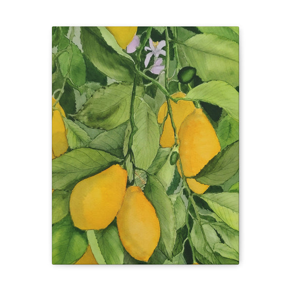 Watercolor Lemons 2 Canvas Gallery Wraps