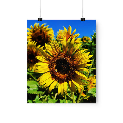 Sunflowers Premium Matte vertical posters