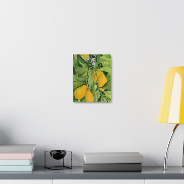 Watercolor Lemons Canvas Gallery Wraps