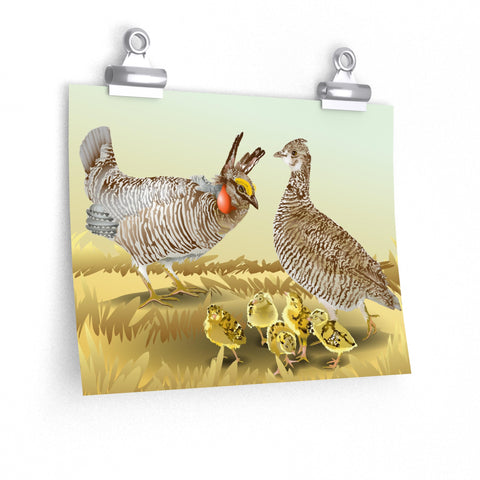 Prairie Chickens Premium Matte horizontal posters