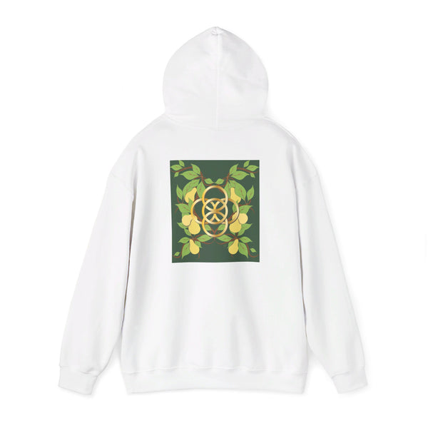 Five Golden Rings of Christmas  Unisex Heavy Blend™ Hooded Sweatshirt