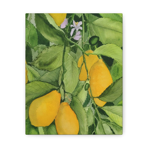 Watercolor Lemons Canvas Gallery Wraps