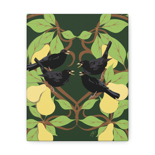 Four Colly Birds of Christmas  Canvas Gallery Wraps