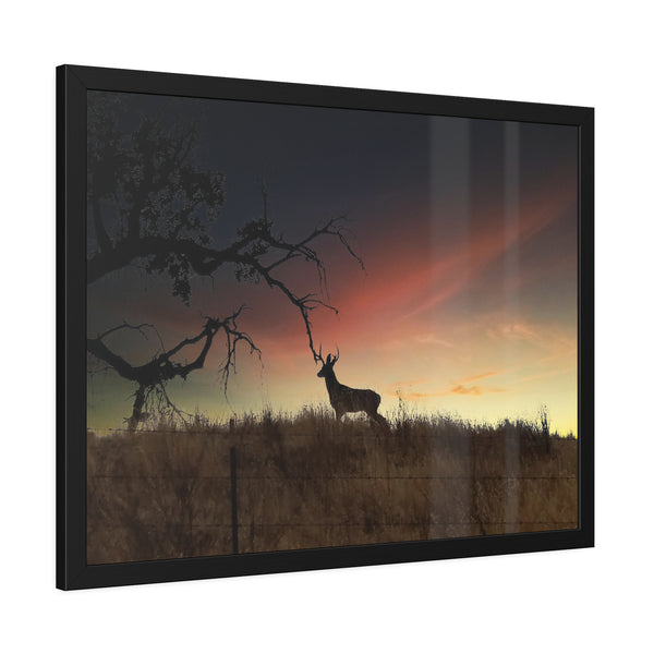 Deer at Sunrise Framed Paper Posters