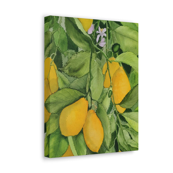 Watercolor Lemons 2 Canvas Gallery Wraps