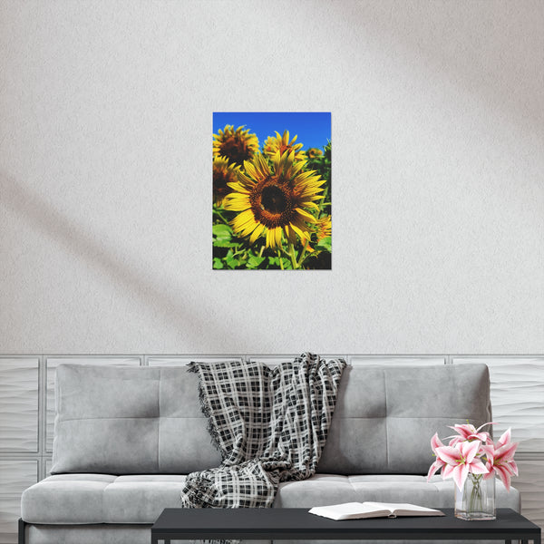 Sunflowers Premium Matte vertical posters