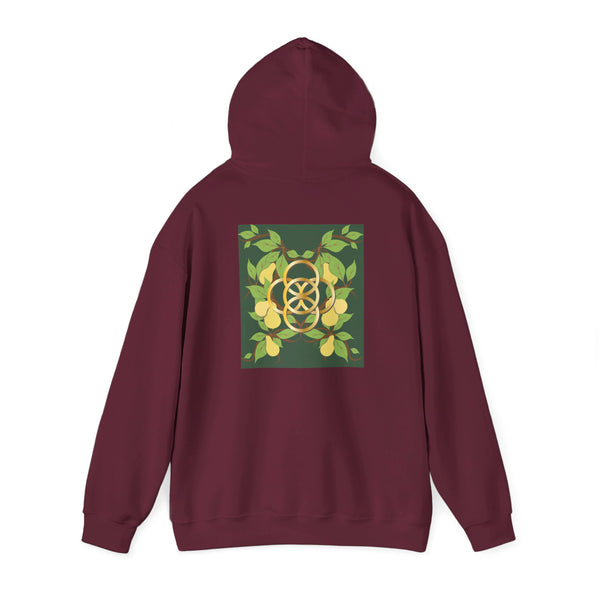 Five Golden Rings of Christmas  Unisex Heavy Blend™ Hooded Sweatshirt