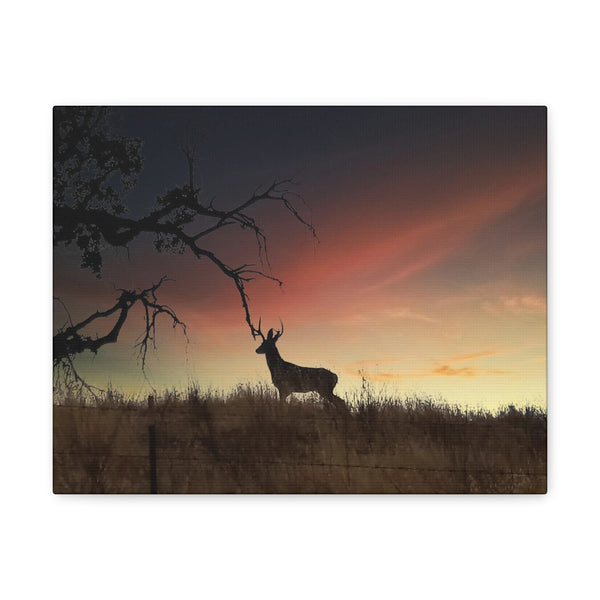 Deer at Sunrise Gallery Wraps