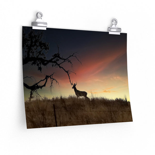 Deer at Sunrise Premium Matte horizontal posters