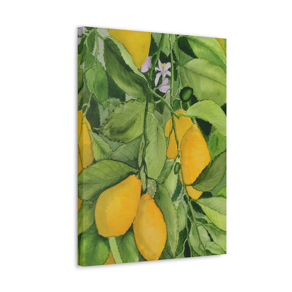 Watercolor Lemons Canvas Gallery Wraps