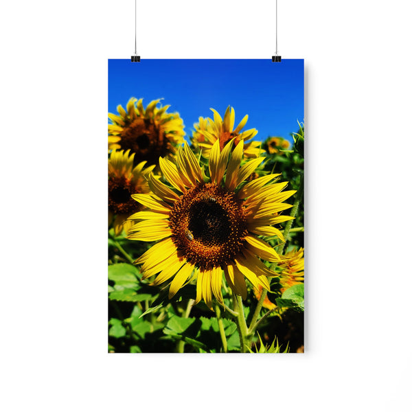 Sunflowers Premium Matte vertical posters