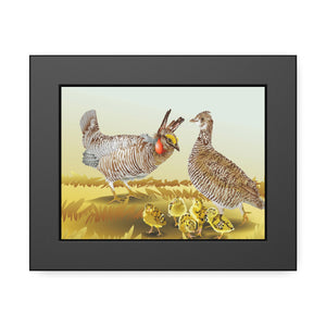 Prairie Chickens Framed Paper Posters