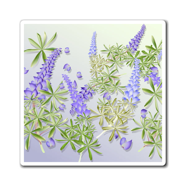 Lupins Magnet