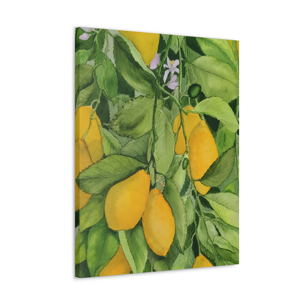 Watercolor Lemons 2 Canvas Gallery Wraps