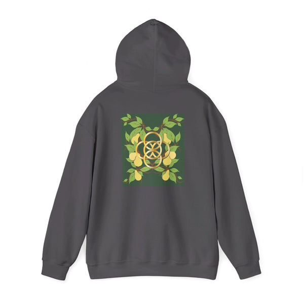 Five Golden Rings of Christmas  Unisex Heavy Blend™ Hooded Sweatshirt