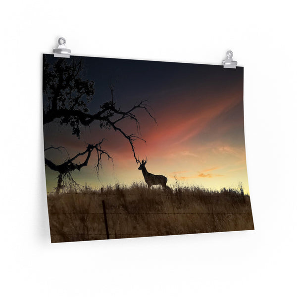 Deer at Sunrise Premium Matte horizontal posters