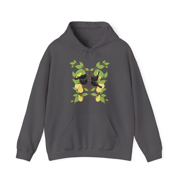 Four Colly Birds of Christmas  Unisex Heavy Blend™ Hooded Sweatshirt